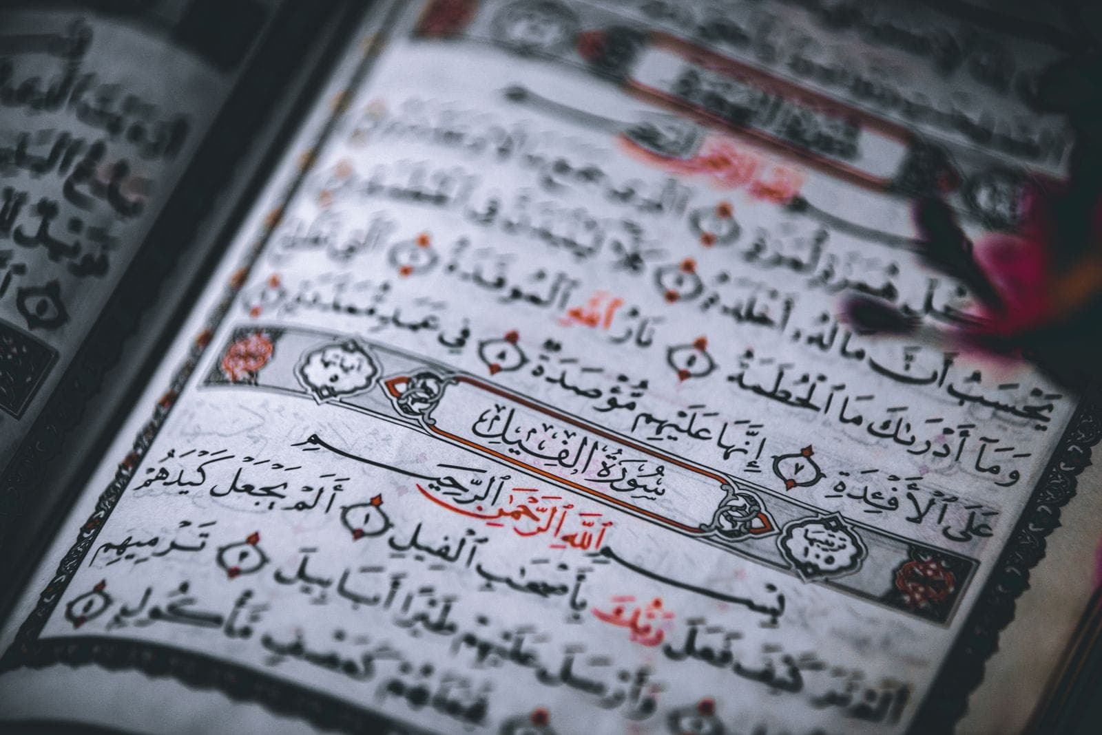 A close view of a Quran page printed with colour-coded Tajweed marks
